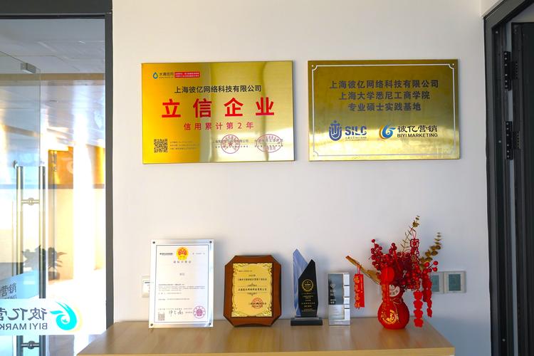 上海彼亿网络科技与上海科技网络 数字化浪潮中的创新力量